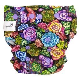 Pocket diaper, one-row snaps, OS SUCCULENTS