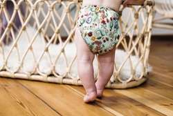 Pocket diaper, one-row snaps, OS FLOWERS