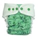 Fitted diaper with PUL & EVO 12-19 kg "I feel green"