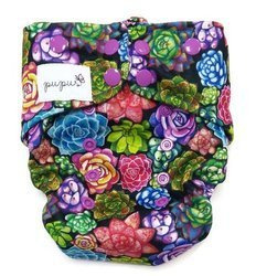 Pocket diaper, double-row snaps, OS, SUCCULENTS