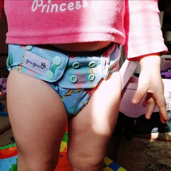 Pocket diaper, double-row snaps, OS, SEAHORSE