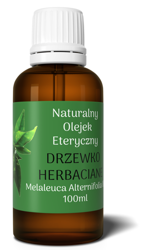 Olejek Eteryczny z DRZEWKA HERBACIANEGO