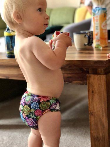 Succulente cu scutec AIO (all in one)