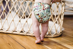 Pocket diaper, one-row snaps, OS FLOWERS