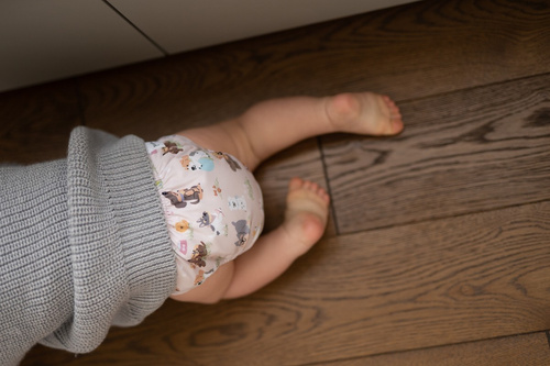 All-in-One Windel (AIO) WELPEN