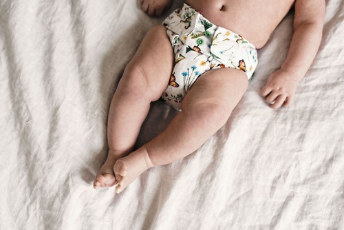 Pocket diaper IN THE GRASS 5-15kg - cotton inside