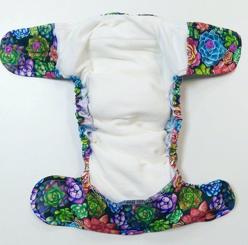 All-in-One Windel (AIO) Sukkulenten