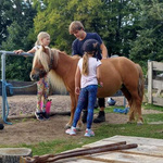 Colanți lungi pentru copii - Neon Splash