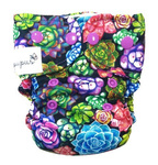 Succulente cu scutec AIO (all in one)