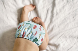 Pocket diaper, double-row snaps, OS, SEAHORSE