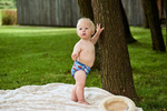 Pocket diaper, double-row snaps, OS, Unicorns