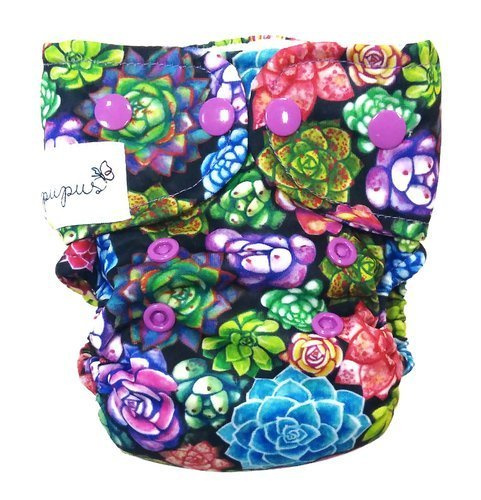 Succulente cu scutec AIO (all in one)