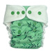 Fitted diaper with PUL & EVO 8-14kg "I feel green"