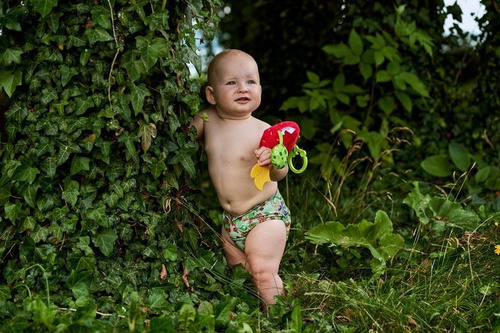 Pocket diaper, double-row snaps, OS, SUCCULENTS