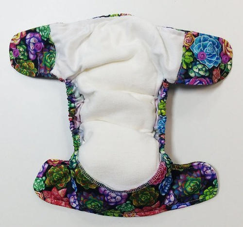 Succulente cu scutec AIO (all in one)