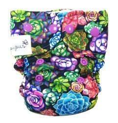 Succulente cu scutec AIO (all in one)