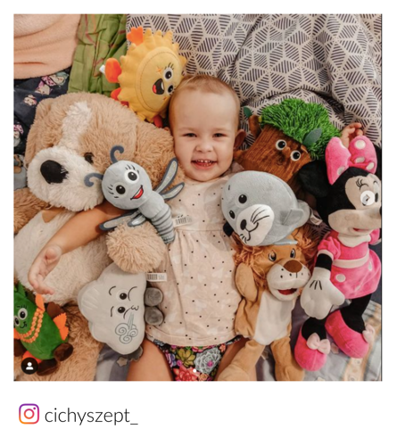 Succulente cu scutec AIO (all in one)