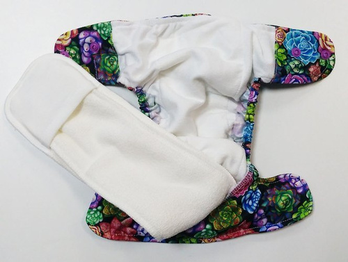 Succulente cu scutec AIO (all in one)