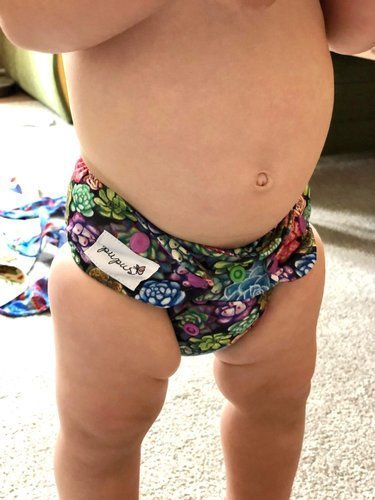 All-in-One Windel (AIO) Sukkulenten