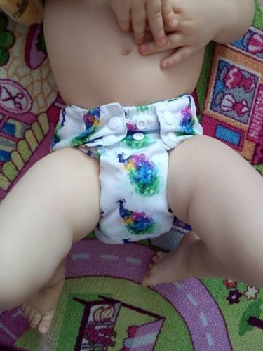 Pocket diaper PEACOCK 5-15kg - cotton inside