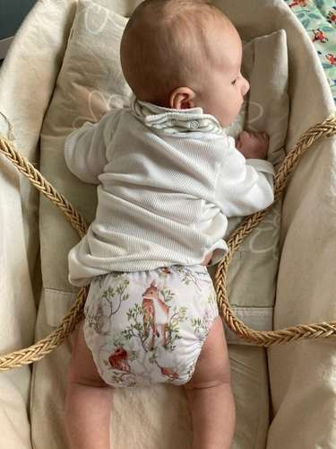 Scutece de buzunar, fermoare pe un rând, OS DAY IN THE FOREST