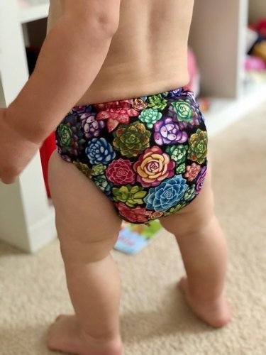 All-in-One Windel (AIO) Sukkulenten