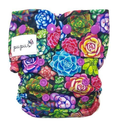 Succulente cu scutec AIO (all in one)