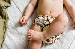 Pocket diaper, double-row snaps, OS, BUGS