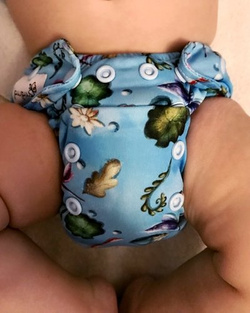 AIO (all in one) Diaper - Flowers