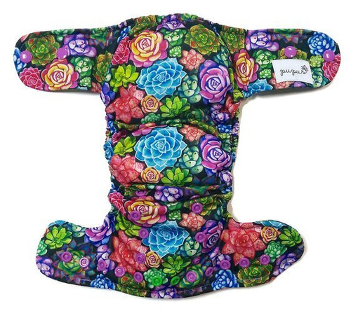 Succulente cu scutec AIO (all in one)