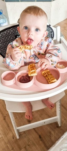 Bavetă cu mâneci - ELFII