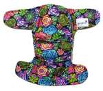 Succulente cu scutec AIO (all in one)