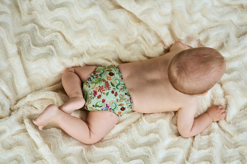 Scutece de buzunar, snaps cu două rânduri, OS, SUCCULENTE