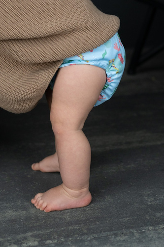 Diaper cover XL 15-22 kg SEAHORSE