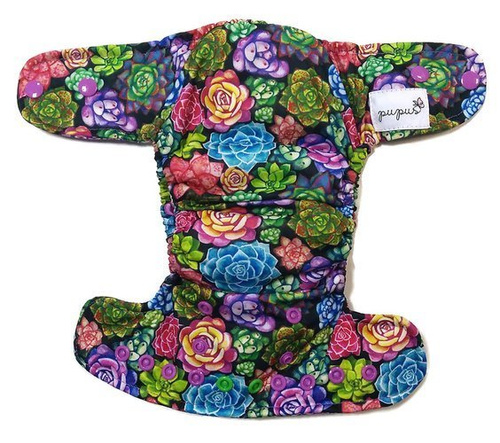 Succulente cu scutec AIO (all in one)