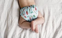 Pocket diaper SEAHORSE