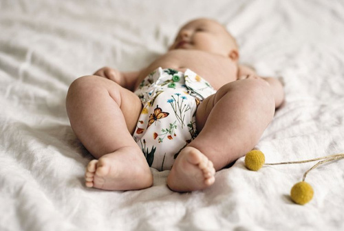 Pocket diaper IN THE GRASS 5-15kg - cotton inside