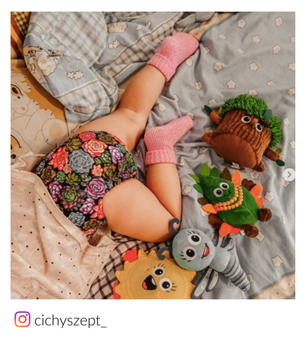 Succulente cu scutec AIO (all in one)