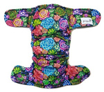 All-in-One Windel (AIO) Sukkulenten