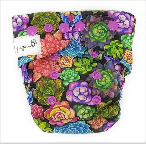 Taschenwindeln, einreihige Druckknöpfe, MINI OS 4-11kg SUCCULENTS